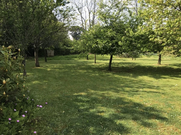 Entretien de jardin à Guipavas